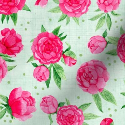 Bigger Scale Hot Pink Peonies Peony Flower Garden on Soft Green