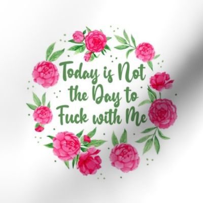 6" Circle Panel Today Is Not The Day to Fuck With Me Sarcastic Sweary Adult Humor for Embroidery Hoop Projects Quilt Squares