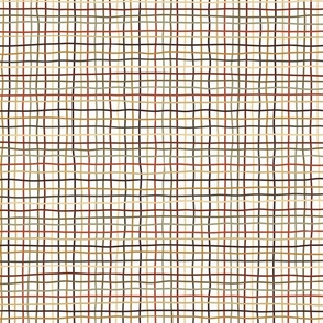 thin plaid - colorful roycroft crooked lines on white - gingham pattern