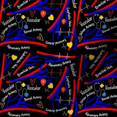 Vascular Veins and Arteries 5