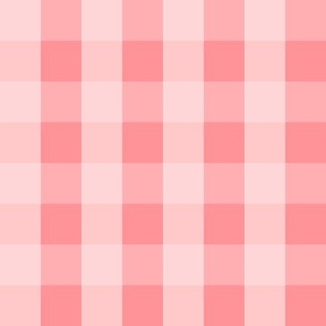 Jumbo Pink Gingham (1” squares)