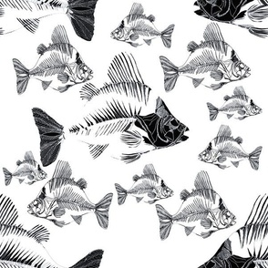 Coastal Fish Skeletons Black and White