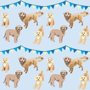 Golden dogs Birthday party Dog Fabric