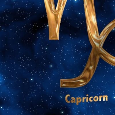 Capricorn Zodiac Sign