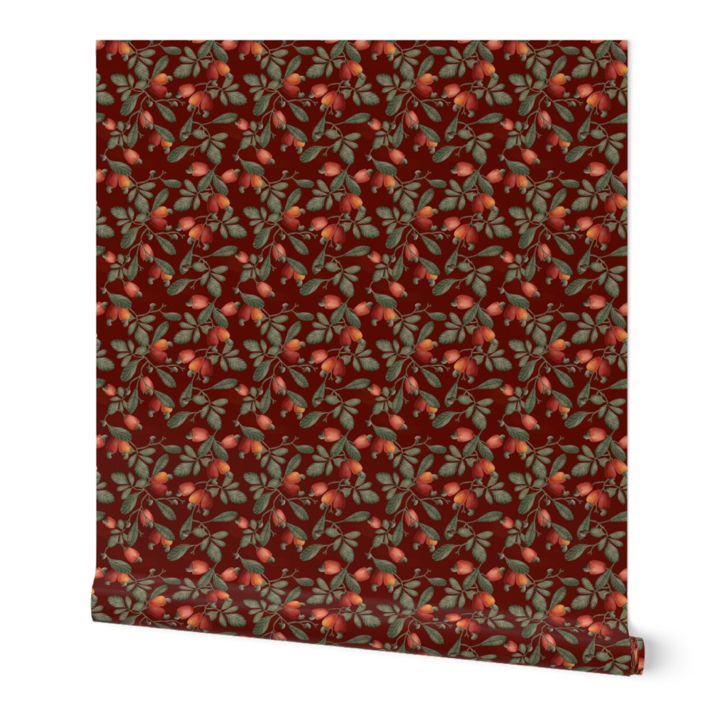 Cashew Fruit  - Red Wine Background - small scale