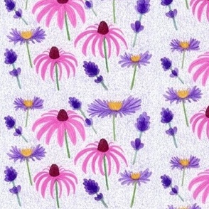 Purple coneflowers, lavender, aster flowers on textured pale purple hand-painted watercolor pencil