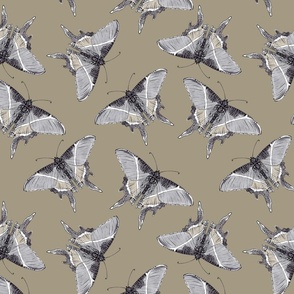 Soft Butterfly  Days - Gray on taupe