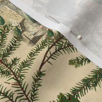 A Christmas Carol Pine Toile  ~Medium