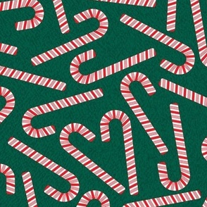 Candy Canes on Evergreen