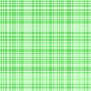 Green plaid light