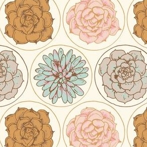Pastel Neutral Succulents - Desert Rose - Aris's Garden