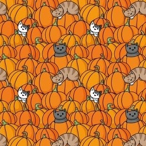 Pumpkin Cats