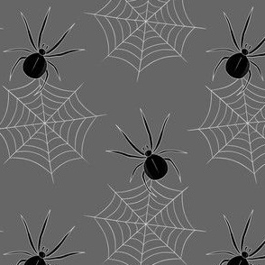 spider webs on grey