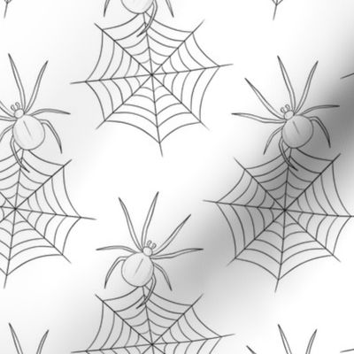 spider webs on white