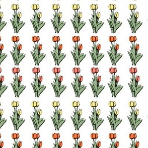Rows Of Tulips