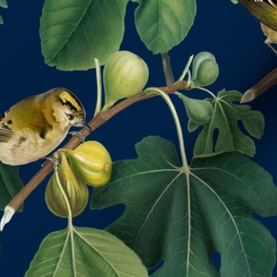 Figs & Birds - Large - Navy Blue