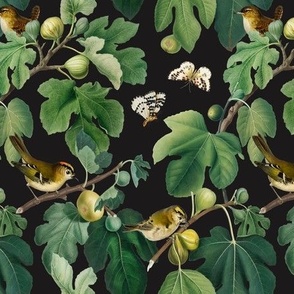 Figs & Birds - Small - Black