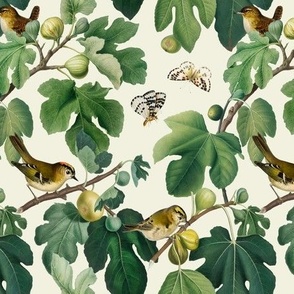 Figs & Birds - Small - White