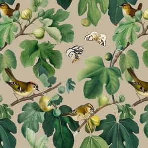 Figs & Birds - Small - Tan Gray Brown