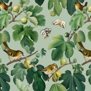 Figs & Birds - Small - Light Green