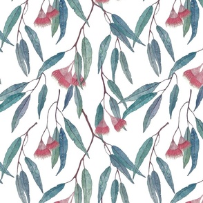 eucalyptus with pink flowers on white /scale/