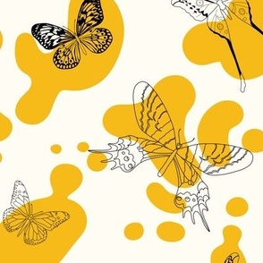 butterflies - yellow