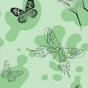 butterflies - green