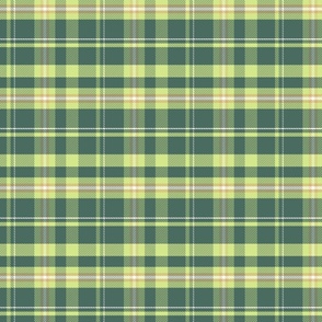 Pine and Honeydew Plaid Small