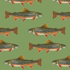 smallish (4.5")  brook trout on vintage green