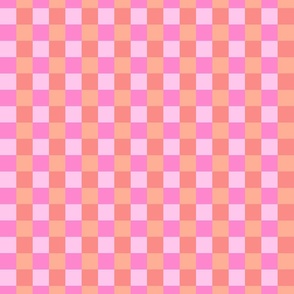 Checkered plaid PINK and CORAL_ XX SMALL SCALE
