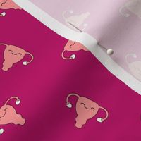 Uterus Vagina Vaginal Medical Anatomy Organ Reproduction Gynecology OBGYN  Menstruation Menstrual Cycle 