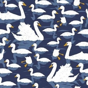 swans dark blue