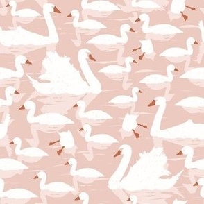 swans pink