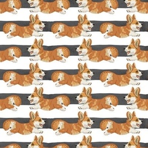 Corgi Stripes small scale