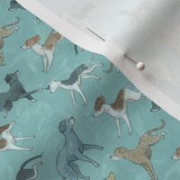 Pencil Greyhounds