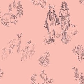 Hill Country Toile in Pink