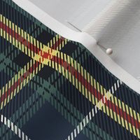 Navy and Buttercup Plaid Small