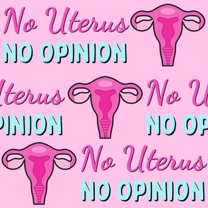 No Uterus No Opinion - extra large on pink