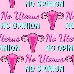No Uterus No Opinion - large on pink
