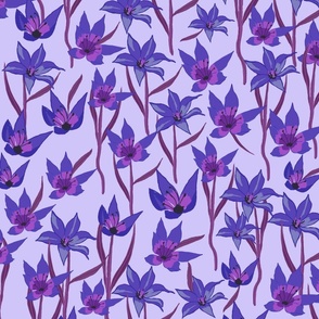 CT2111 Tulips - Purple