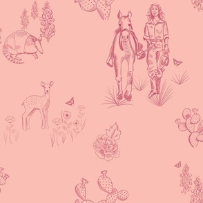 Hill Country Toile in Pink on pink