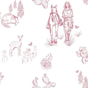 Hill Country Toile in Pink