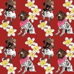 Griffon Dog and Plumeria flowers Dog Fabric