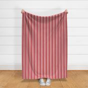 Vertical Pleated Stripes-Red to Pink Ombre