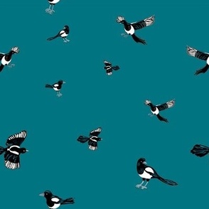 Magpie on green. Birds on teal