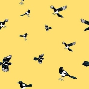 Birds on yellow. Magpie