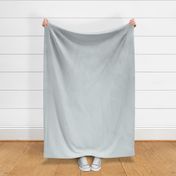Arctic Pastel Blue Solid Color 2022 Popular - Trending Shade PPG Winter's Breath PPG1038-3 Colour Trends - Popular Hues