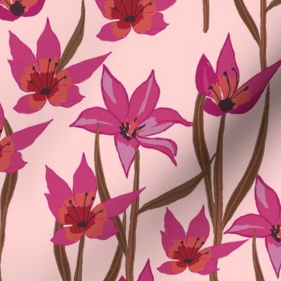 CT2113 Tulips - Pink