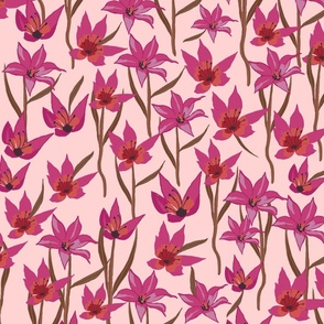 CT2113 Tulips - Pink