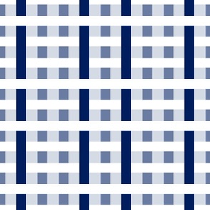 Retro Gingham Navy Blues and white